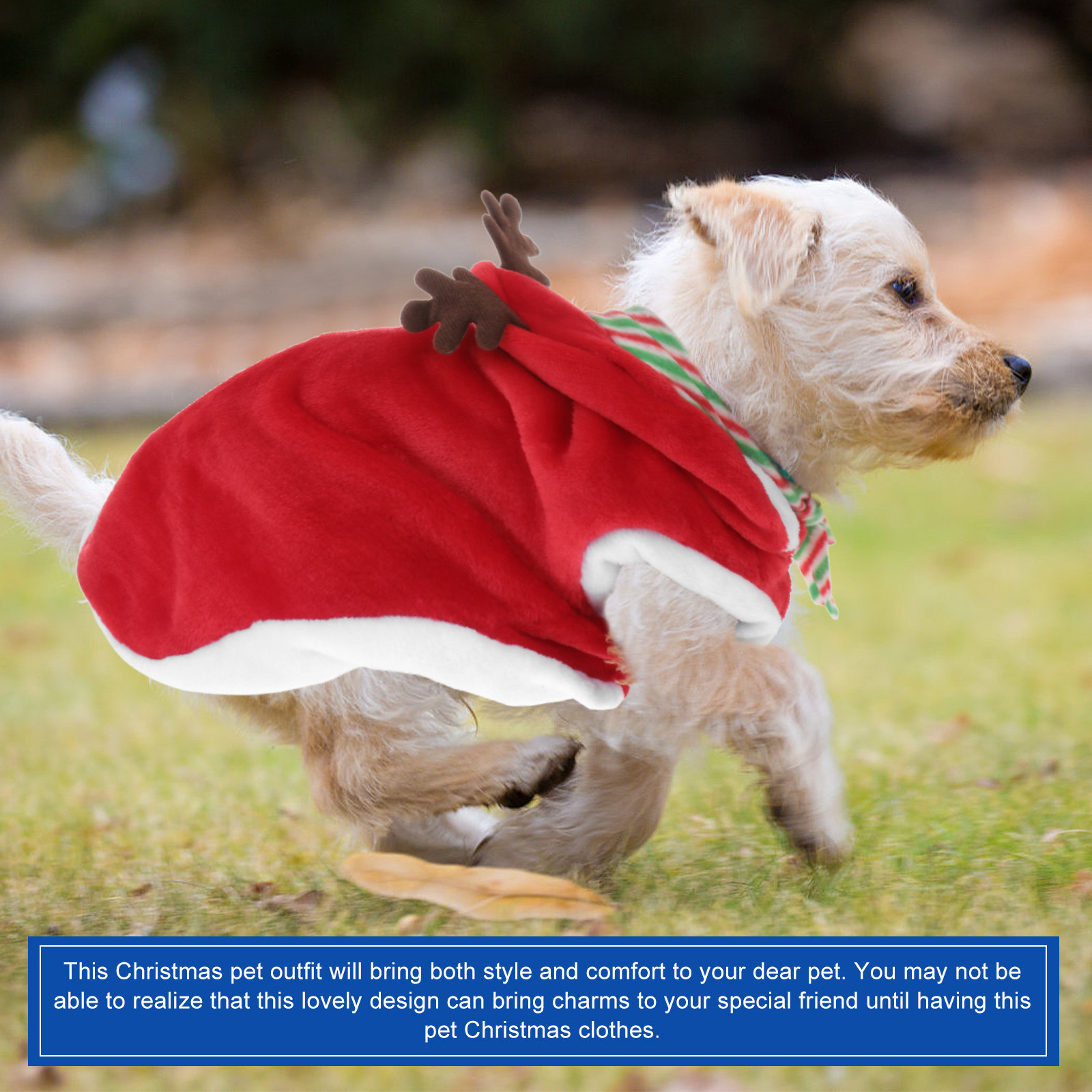 1Set Pet Christmas Clothes Fes - Winter Clothing Activity review and price