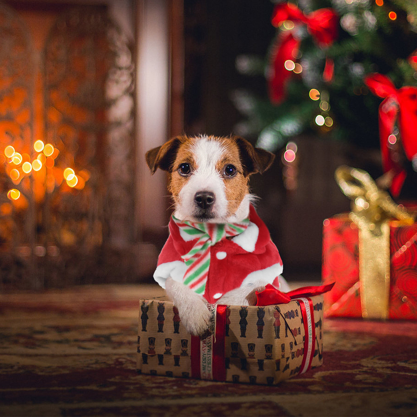 1Set Pet Christmas Clothes Fes - Winter Clothing Activity review and price
